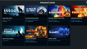 Wolf Winner Bonus program